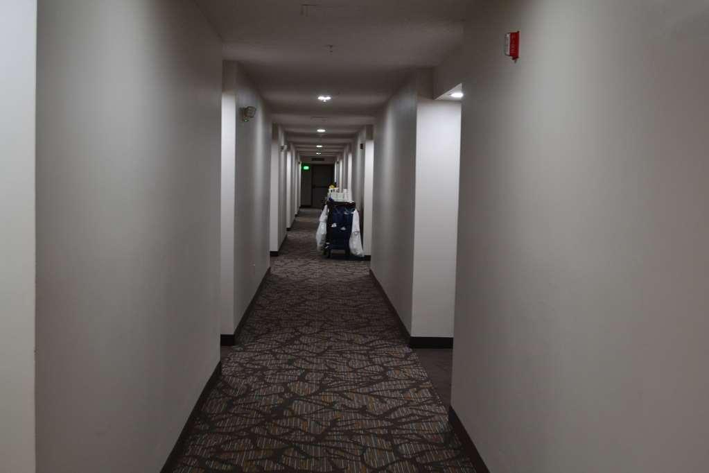 Wingate By Wyndham Bel Air I-95 Exit 77A - Apg Area Hotel Edgewood Interior photo